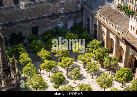 Sevilla, Espagne - 09 septembre 2015 : vue depuis le sommet d'une tour de la Giralda, à la cour de la Cathédrale, Séville, Andalousie Banque D'Images