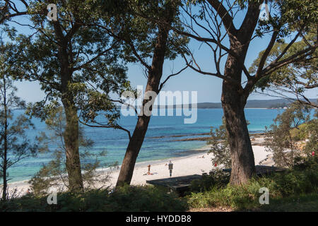 Le sable blanc à Hyams Beach dans Jervis Bay, Australie Banque D'Images