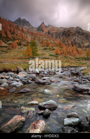 Il s'agit d'Pian della Casa del Re (littéralement, King House's Plain), un beau plateau à presque 2000m (6000 ft) au coeur de l'Alpi Marittime Natur Banque D'Images