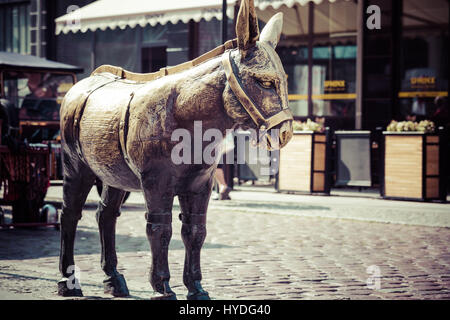 Ville de Torun en Pologne, immeuble historique abrite Banque D'Images