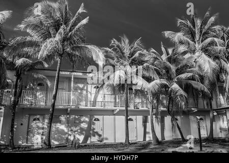 Grand Cayman, îles Caïmans, bâtiment vacant de deux étages de style des Caraïbes, à l'ombre des palmiers Banque D'Images