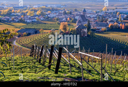 Paysage viticole d'automne dans Southtyrol, Trentin-Haut-Adige - Nord de l'Italie, Europe Banque D'Images