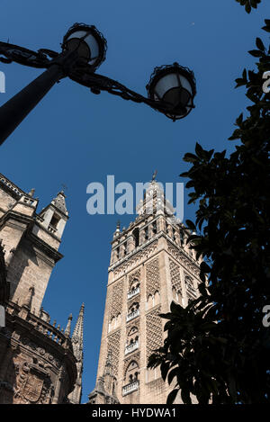 Les 96 mètres de haut minaret connu sous le nom de la Giralda, domine l'horizon de Séville en Espagne. Le minaret avec ses 25 cloches faisait partie de la Grande Mosquée Bleue Banque D'Images