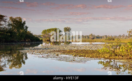 Ciel rose reflétée dans les zones humides de Kakadu dans le Kakadu National Park, Territoires du Nord, Australie Banque D'Images