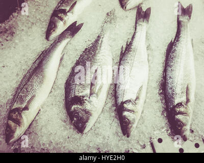 Le poisson frais sur la glace. Filtre Retro Vintage Banque D'Images