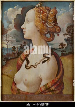 Piero di Cosimo Portrait de femme dit de Simonetta Vespucci Google Art Project Banque D'Images