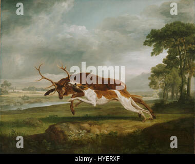 Chasseur de chien coursant un cerf, une peinture à l'huile sur toile par George Stubbs, un artiste anglais, vers 1762. Banque D'Images