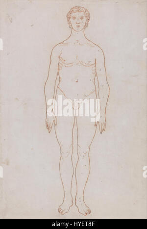George Stubbs une exposition anatomique comparative de la structure du corps humain avec celle d'un tigre et un Co... Google Art Project (2364017) Banque D'Images