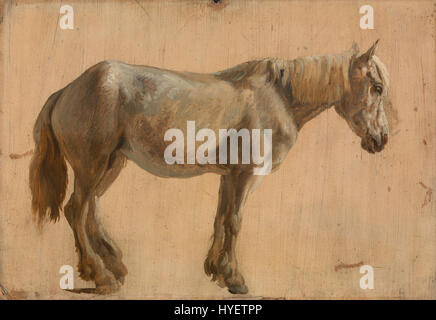 Jacques Laurent Agasse Étude d'un cheval gris Google Art Project Banque D'Images