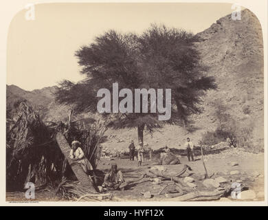 Le Sgt. James M. McDonald (Anglais) d'Acacia Seyal (arbre, dédiée au saint Patron, Wadi Feiran Google Art Project Banque D'Images