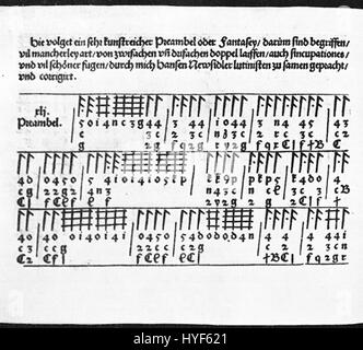 La tabulature allemande pour luth fait référence au système de notation musicale utilisé aux XVIe et XVIIe siècles pour la musique pour luth en Allemagne. Il s'agissait d'utiliser des lettres et des symboles pour représenter des notes de musique, ce qui facilitait la lecture et la lecture de compositions complexes pour luth. Ce système a joué un rôle clé dans le développement de la musique de luth Renaissance et baroque. Banque D'Images