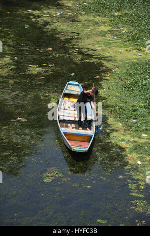 Cachemire Boy, Dal Lake Shikara Boat petit Home Boat (photo Copyright © par Saji Maramon) Banque D'Images