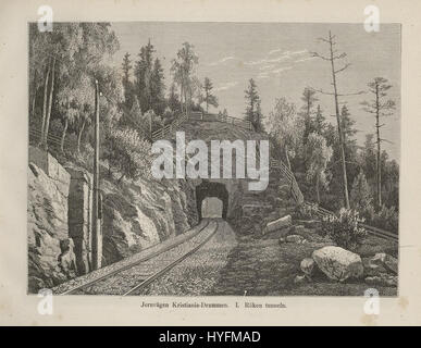 Ce texte, probablement une partie de la série 'Nordiska taflor', présente une illustration botanique nordique tirée d'une version numérisée de l'œuvre originale du XIXe siècle. La pièce se concentre probablement sur les espèces végétales originaires des pays nordiques. Banque D'Images