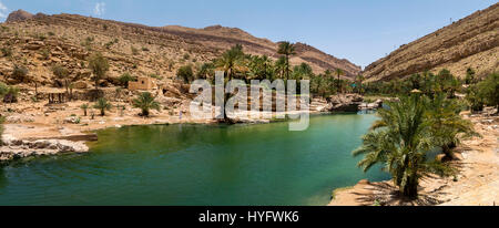 La faune du désert d'Oman et l'oasis Banque D'Images