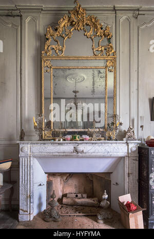 Images obsédantes révèlent l'extraordinaire collection d'armes à feu la taxidermie et laissés à pourrir dans les ruines d'un château français abandonnés qui pourraient avoir été abandonné au cours des six dernières décennies. Photographies d'oeil-ouverture afficher les ornements animal spooky répartis dans le grand manoir abandonné comme-bien-que les fusils et munitions qui auraient pu être utilisés sur safari pour les chasser vers le bas. Capturé par l'Explorateur urbain Florian Michaud, 30, ces photographies : des tortues, des crocodiles empaillés, un requin, un cobra et mongoose luttant contre l'autre, un Canard, poisson, lapin, l'antilope, Peacock et une tête de cerf. À partir de l'ag Banque D'Images