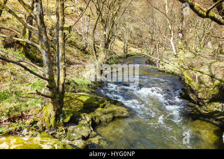 La rivière serpentant à travers Marteg Gilfach Nature Reserve dans les monts Cambriens Rhayader Wales Banque D'Images