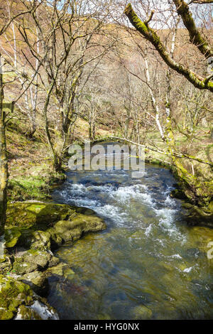 La rivière serpentant à travers Marteg Gilfach Nature Reserve dans les monts Cambriens Rhayader Wales Banque D'Images