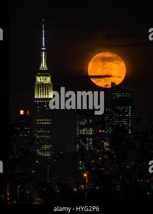 NEW YORK, USA : de superbes photos de l'Empire State Building avec une orange moon passer ont été capturés. Les images montrent comment l'un des bâtiments les plus emblématiques de l'air encore plus impressionnante avec notre lune orange éclatant d'overhead. D'autres photos montrent le soleil se lever et le Manhattan Pont de Brooklyn. Rédacteur technique américaine Jennifer Khordi (46) a été en mesure de saisir ces photos à couper le souffle de l'horizon de Jersey City et Kearny ville dans le New Jersey. Banque D'Images