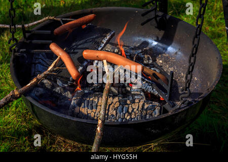 Les saucisses sur des bâtons, d'être grillé sur feu ouvert. Banque D'Images