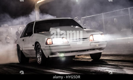 Corps Fox mustang fait un burnout fumé Banque D'Images