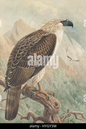 John Gerrard Keulemans 'The Monkey Eating Eagle' est une aquarelle dynamique illustrant une scène naturelle puissante et inhabituelle, combinant la faune exotique dans une composition intense et dramatique. Banque D'Images