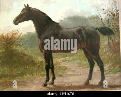 Le cheval Oldenburger est une race allemande de sang chaud connue pour sa force, son agilité et sa polyvalence. Initialement cultivé pour le travail agricole et la conduite de voitures, il est maintenant principalement utilisé dans les sports équestres tels que le dressage et le saut d'obstacles. Banque D'Images