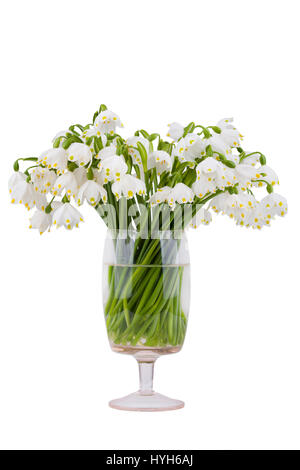 Flocon de neige de printemps Leucojum vernum) (bouquet dans un vase, isolated on white Banque D'Images