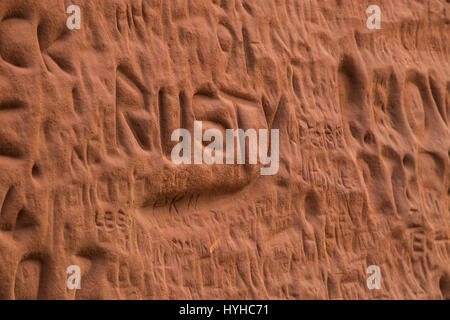 Noms sculptés dans les falaises de grès rouge doux à Sidmouth, Devon. Banque D'Images