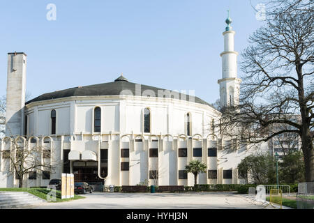 La mosquée de Bruxelles Banque D'Images