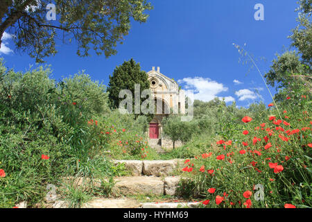 France, Bouches du Rhone, Alpilles, Saint Etienne du Gres, chapelle St Gabriel Banque D'Images