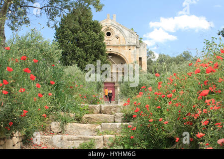 France, Bouches du Rhone, Alpilles, Saint Etienne du Gres, chapelle St Gabriel Banque D'Images