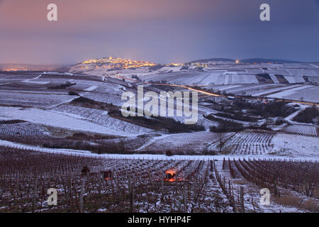 La France, Cher, de la région de Sancerre, Chavignol et le village de Sancerre la nuit, le vignoble de Sancerre en hiver, brûlant de branches vine Banque D'Images