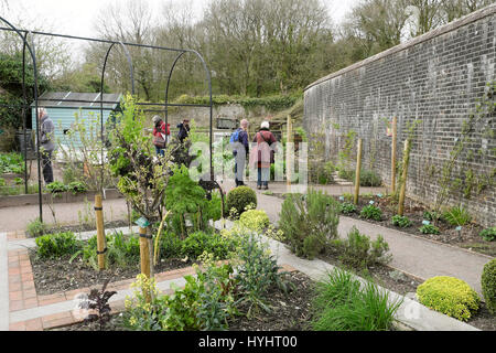 Structures métalliques pour soutenir les plantes grimpantes dans les légumes patch en début du printemps au Jardin Botanique National du Pays de Galles, Carmarthenshire UK KATHY DEWITT Banque D'Images