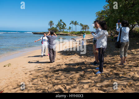 HALEIWA, Oahu, Hawaii - 15 février 2017 : les touristes remplir la plage et prendre des photos et d'autoportraits avec cameraphones après un tour bus vous permet de les désactiver a H Banque D'Images