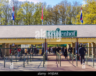 LISSE, Pays-Bas - 16 avril 2016 : Parc floral de Keukenhof, lisse, aux Pays-Bas. Keukenhof est le plus grand jardin fleuri avec 7 millions de flow Banque D'Images