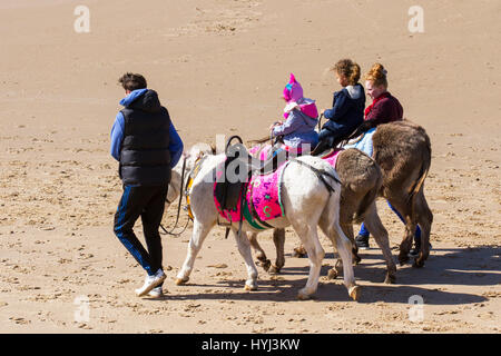 Un groupe ou un troupeau d'ânes bâtés, bord de mer avec leur chien à Blackpool, Lancashire, Royaume-Uni. 4ème apr 2017. Météo britannique. Belle journée ensoleillée avec des rafales de vent froid pour les visiteurs de la plage et de la tour de pointe dans la station balnéaire. Credit : MediaWorldImages/Alamy Live News Banque D'Images