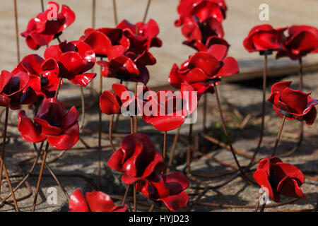 Thames Estuary, Essex, Royaume-Uni. 5ème apr 2017. Exposition de céramiques maintenant 14-18 coquelicots en construction sur un ancien MoD jetée à Shoeburyness dans l'Essex, sur l''estuaire de la Tamise. D'abord partie de la Tour de Londres 2014 afficher cette section a parcouru le pays. L'exposition est présentée du 12 avril au 25 juin et est libre d'afficher Crédit : Timothy Smith/Alamy Live News Banque D'Images