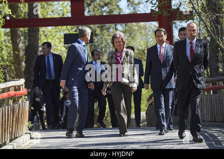 Madrid, Madrid, Espagne. 5ème apr 2017. La Reine Sofia d'Espagne à Madrid Chulina visites Zoo Panda le 5 avril, 2017 à Madrid Crédit : Jack Abuin/ZUMA/Alamy Fil Live News Banque D'Images