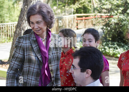 Madrid, Madrid, Espagne. 5ème apr 2017. La Reine Sofia d'Espagne à Madrid Chulina visites Zoo Panda le 5 avril, 2017 à Madrid Crédit : Jack Abuin/ZUMA/Alamy Fil Live News Banque D'Images