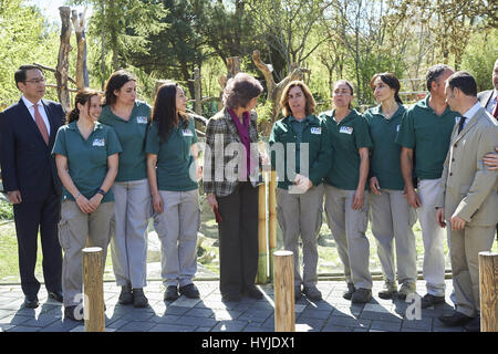 Madrid, Madrid, Espagne. 5ème apr 2017. La Reine Sofia d'Espagne à Madrid Chulina visites Zoo Panda le 5 avril, 2017 à Madrid Crédit : Jack Abuin/ZUMA/Alamy Fil Live News Banque D'Images