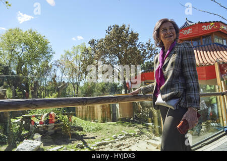 Madrid, Madrid, Espagne. 5ème apr 2017. La Reine Sofia d'Espagne à Madrid Chulina visites Zoo Panda le 5 avril, 2017 à Madrid Crédit : Jack Abuin/ZUMA/Alamy Fil Live News Banque D'Images