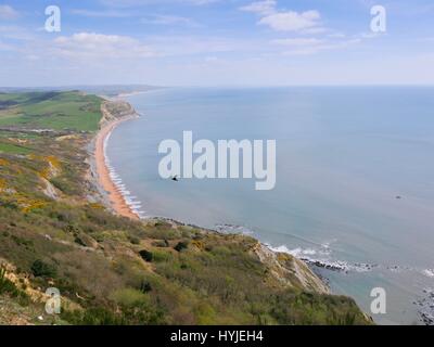 Golden Cap, Dorset, UK. 5ème apr 2017. Un jour de printemps chaud et ensoleillé avec une vue impressionnante sur la côte jurassique souths du haut haut de Golden Cap . Credit : DTNews/Alamy Live News Banque D'Images