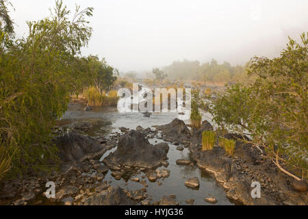 Cours supérieur de la rivière Clarence avec de l'eau et les roches ourlée par golden graminées et arbres sur matin brumeux à Coombadja, NSW Australie Banque D'Images