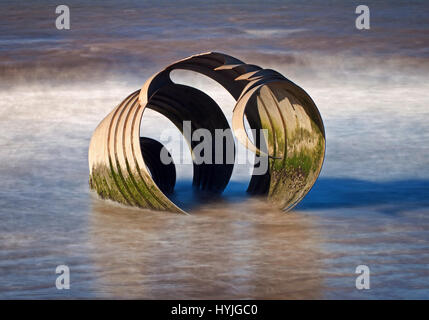 Couleurs de Mary's Shell Banque D'Images