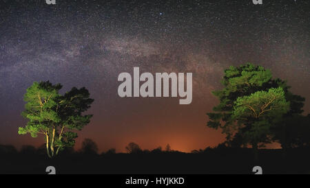 Stars dans ciel de nuit plus de forêt. Scène de nuit lyrique de Voie lactée. Espace libre pour le texte au milieu sur fond de ciel étoilé. Belle nuit Banque D'Images