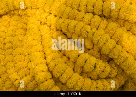 Marigold orange et jaune pour les têtes de guirlandes en vente à Mullick Ghat Marché aux Fleurs, Kolkata Banque D'Images