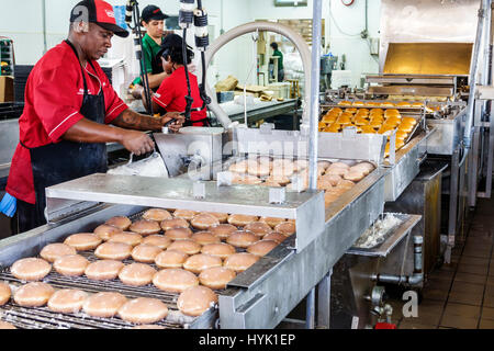 Orlando Winter Park Florida, Krispy Kreme Donuts, compagnie de beignets, café, chaîne de production, friteuse, vitrage, courroie de convoyeur, homme noir homme hommes, travail va Banque D'Images