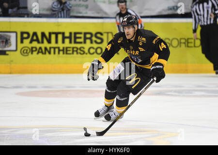 Les Panthers de Nottingham Ice Hockey Club en action Banque D'Images