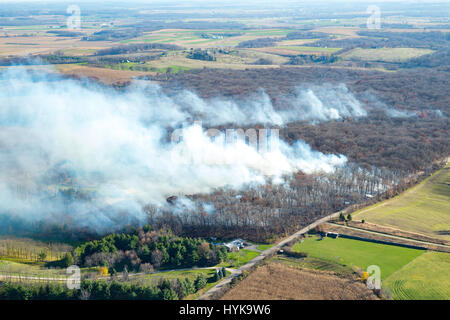 Vue aérienne d'un automne de brûler une forêt en milieu rural Comté Dane, Wisconsin. Banque D'Images