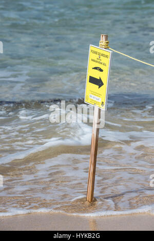 Avertissement signe aux touristes de marcher autour d'un phoque moine Hawaiien, Neomonachus schauinslandi, au Marriott Resort, Poipu Beach Park, Kauai, Hawaii, USA Banque D'Images